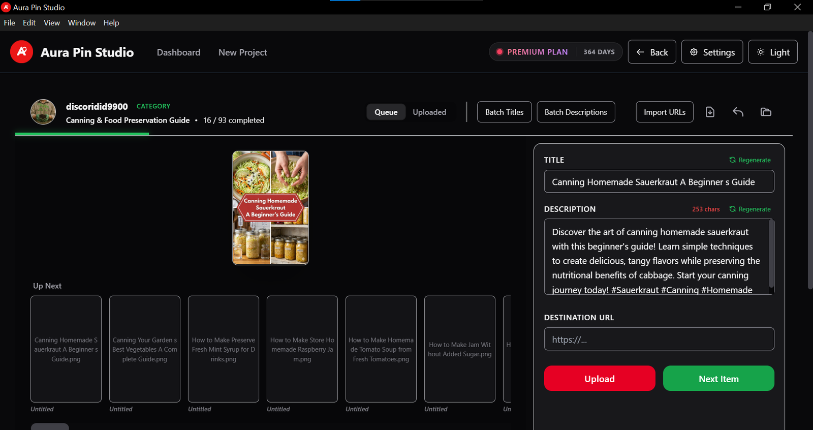 Aura Pin Studio - Workspace Screen